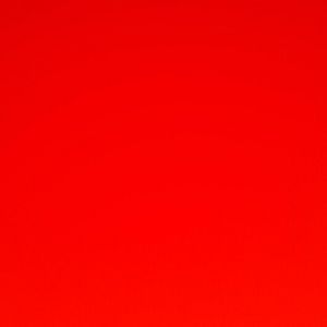 Meet your Posher, Lizbeth